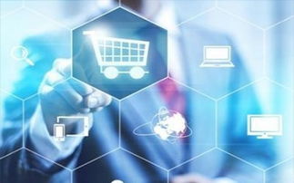 吉林长春企业商务与咨询服务的多元化应用